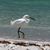 Joanne Pavone's profile image