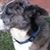 Karin Partington's profile image