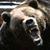 Jim Batchelor's profile image