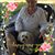 Eleanor Spaziano's profile image