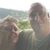 Phyllis Engle's profile image
