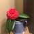 Gail Beeker Folsom's profile image