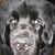 RonPatti Anderson's profile image