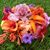 Sally Dill Ossman's profile image