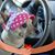 Joy Hocking's profile image