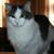 Yvette Manculich's profile image