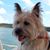 Ann Harris's profile image