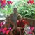 Andi-andrea Glick-dobson's profile image