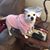 Sonia Hall Whidden's profile image