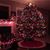 Juanita Sammons's profile image