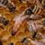Glenn Robison's profile image
