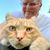 John Payne's profile image