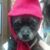 Karen DeAngelis's profile image