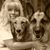 Brenda Deforest Clarkson's profile image