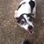 Velda Gates's profile image
