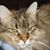 Robert Milligan's profile image