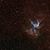 Lighthammer Wadsworth's profile image