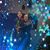 Terri Lynn's profile image