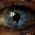 Kim Boland DeBrum's profile image