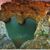Abdelrahman Nasr's profile image