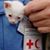 Richard F. Buckley's profile image