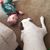 Katie Fishel's profile image