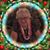 Cynthia Clayton's profile image
