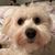 Rebecca Tully's profile image