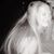 Kristi Anderson Sampsel's profile image