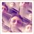 Dave W Clark's profile image