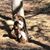 Debi Isaacson Newbold's profile image