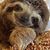 Racquel Rhodes's profile image