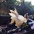 Virginia Tsang's profile image