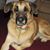 Sharmin McWhorter's profile image