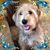 Felicia Kepler's profile image