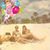 Darlene Miller Farrell's profile image