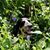 Elizabeth Whisnant's profile image
