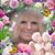 MaryJo Blume's profile image