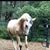 Jann Melnick's profile image