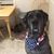 Corry Renae's profile image