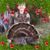 David J Frost's profile image