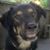 Tee Bone's profile image