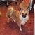 Maxine Branscom's profile image