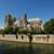 Naadine Sardi's profile image