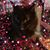 Patty Olbert-Guist's profile image