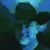 Nelson Trudeau's profile image