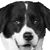 Tessi Zurick's profile image
