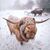 Michelle Stevenson's profile image
