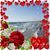 Mary Ulibarri Grays's profile image