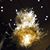 Sandra Lynne Haston's profile image